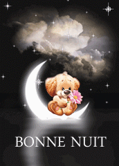 bonne nuit lune et chien